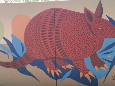 The Red Armadillo, by José Malinoski — Street art by José Malinoski in Berlin