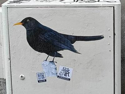 Realistic Blackbird on Urban Cabinet — Street art in Nantes
