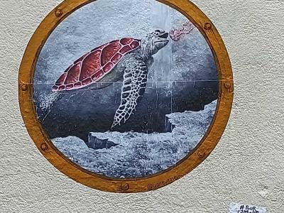 Sea Turtle Through a Porthole — Street art in Nantes