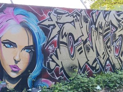 Portrait aux cheveux roses et bleus — Street art à Nantes