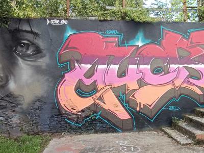 Portrait et graffiti rose — Street art de AERO à Nantes