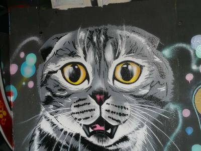 Afraid Cat — Street art in Paris