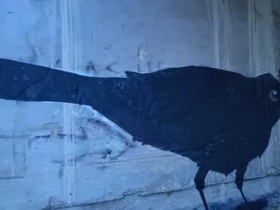 Corbeau noir sur béton — Street art à Vilnius