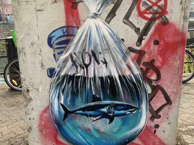Graffiti Quai Saint-Jean Strasbourg — Street art à Strasbourg