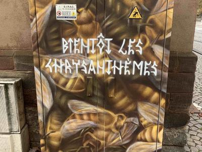 Chrysanthemums Soon — Street art in Strasbourg