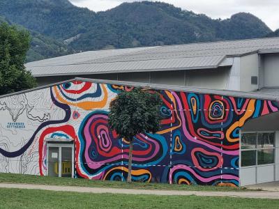 Psychedelic Topographic Mural, Faverges — Street art in Faverges