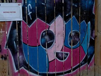 Bicolor Round Face — Street art by Fast Freak in Angers
