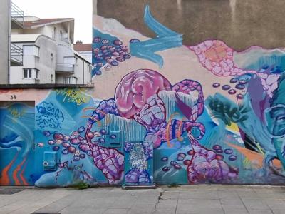 Pink-Blue-Yellow Floral Portrait Mural — Street art in Grenoble