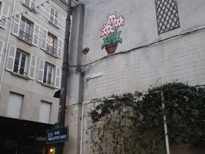 Le pot de fleurs pixelisé — Street art à Paris