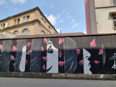 Feminine Portraits with Pink Petals — Street art in Strasbourg