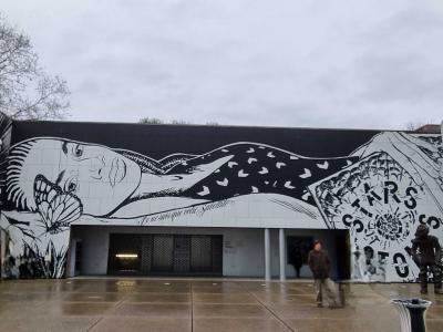Femme papillons en noir et blanc — Street art à Strasbourg