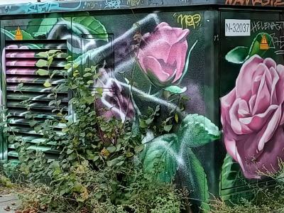 Roses Urbaines Floral — Street art à Berlin