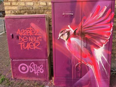 Fée rose urbaine — Street art de Dan23 à Strasbourg