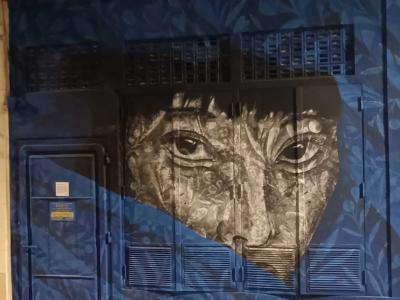 Visage nocturne par Tanala — Street art de Tanala à Nantes