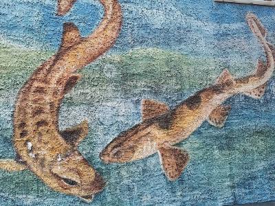 Stylized Marine Creatures — Street art in Berlin