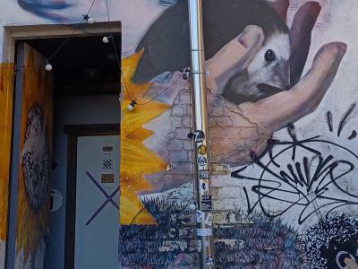 Large Hedgehog Mural in Riga — Street art in Rīga
