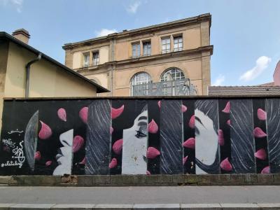 Series of Feminine Profiles in Strasbourg — Street art in Strasbourg
