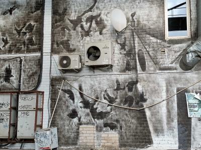 Nuée d'oiseaux en grisaille — Street art de Povilas Kupčinskis à Vilnius
