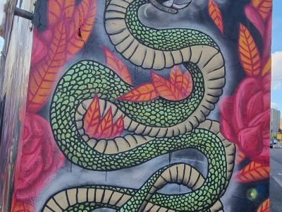 Coiled Snake Among Flowers — Street art by Récolorz in Clermont-Ferrand