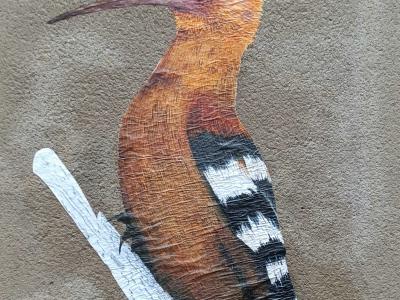 Photorealistic Hoopoe Bird — Street art in Nantes
