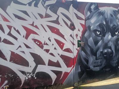Portrait de doberman — Street art à Rennes