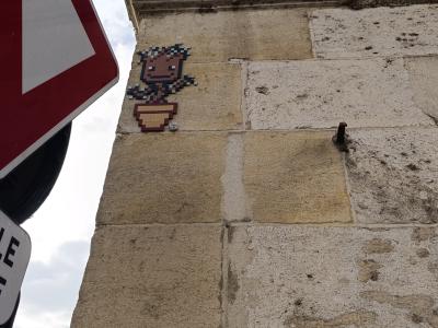 Groot - Mosaïque marron — Street art à Orléans