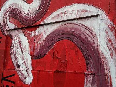 Serpent blanc sur fond rouge — Street art à La Rochelle