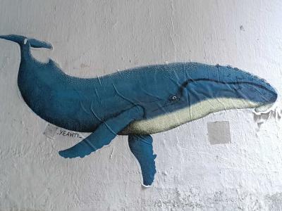 Blue Whale by Yeahti — Street art in Nantes