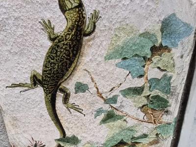 Lézard des murailles et lierre — Street art à Clermont-Ferrand