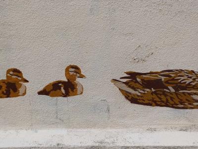 Famille canard au pochoir — Street art à Paris