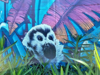 The Squirrel Monkey in the Fronds — Street art in Vallon-Pont-d'Arc