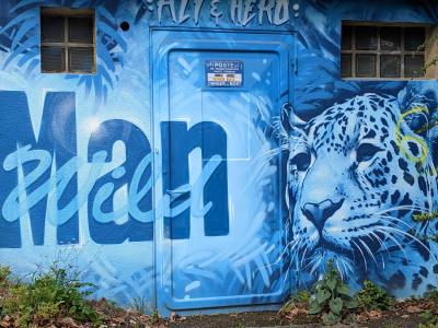 Blue Leopard and Graffiti in Rennes — Street art in Rennes