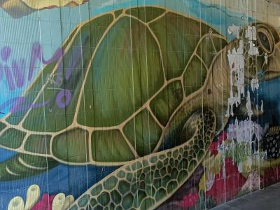 Sea Turtle — Street art in Prague