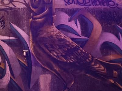 Chouette mécanique aux yeux ronds — Street art à Paris
