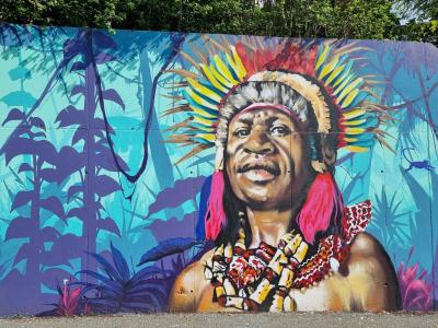 Portrait Coiffure Indigène Florale — Street art à Clermont-Ferrand