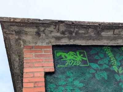 Mur-murations végétales — Street art de Disk à Bourges