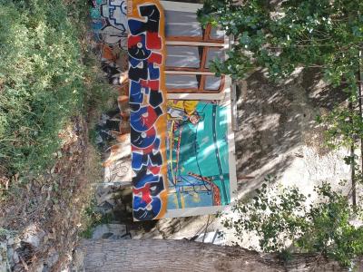 Colorful Graffiti in Natural Setting in Lisbon — Street art in Lisbon