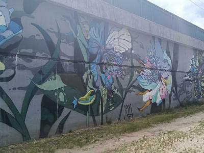 Floral Mural with Flowers and Butterflies — Street art in Prague