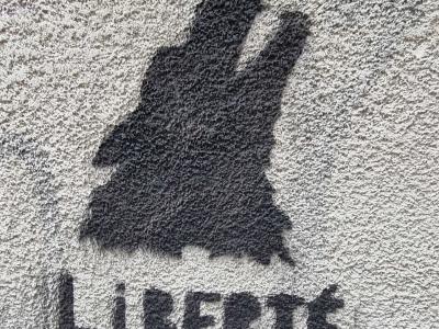 Raised Fist — Liberté — Street art in Clermont-Ferrand