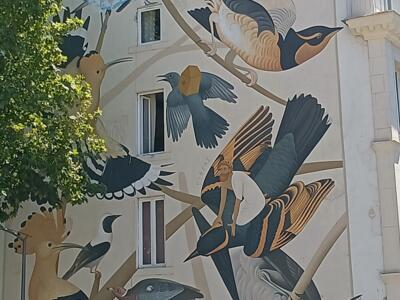 The Audubon Walls, six Mediterranean and American birds — Street art by Fikos in Marseille