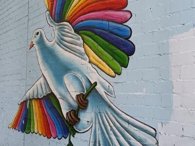 Dove with rainbow wings — Street art in Köln