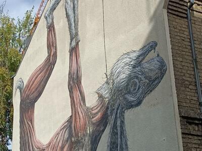 Lièvre écorché par Roa — Street art de Roa à Köln