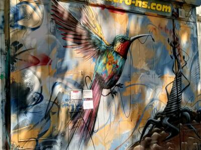 Colibri sur rideau de fer — Street art à Marseille
