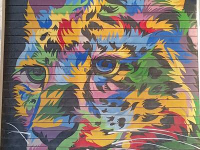 Tête de tigre pop multicolore — Street art à Marseille