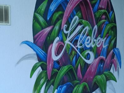 Kléber bouquet by BDR Crew — Street art by BDR Crew in Marseille