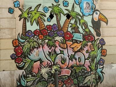 Jungle et toucan sur porte cochère — Street art à Marseille