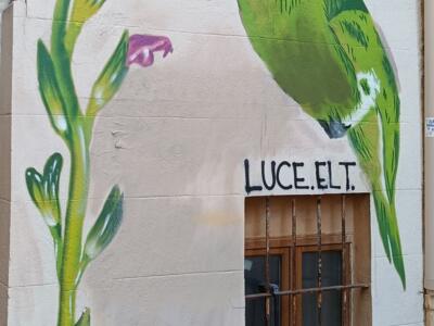 Colibri et fleur rose par Luce ELT — Street art de Luce ELT à Marseille