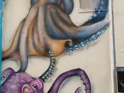 Deux pieuvres sur mur crème — Street art à Marseille