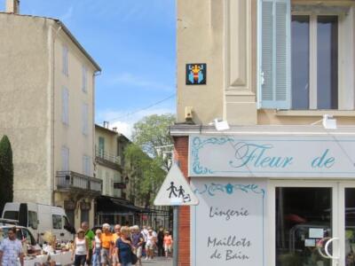 FRQ_01, Space Invader on 1–5 Rue Louis Andrieux — Street art by Invader in Forcalquier