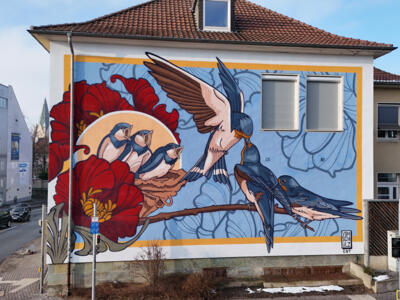 Schwalben Nest — Street art de Von Schulz à Paderborn